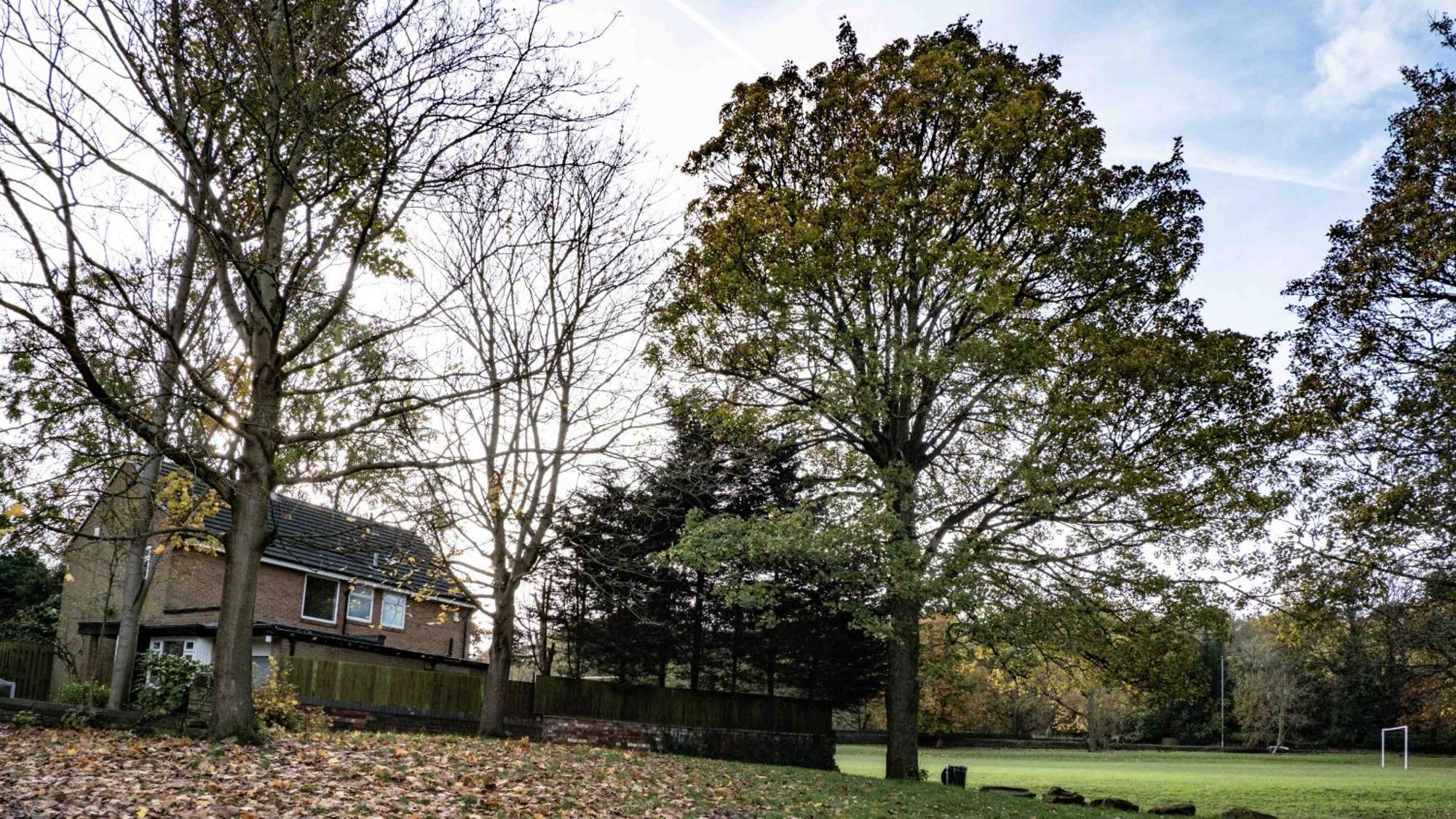 Cross Lane Cottage Pudsey Zewnętrze zdjęcie